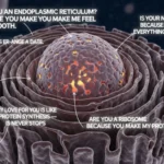 Endoplasmic Reticulum Pick Up Line